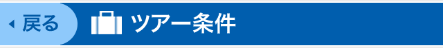 ツアー条件
