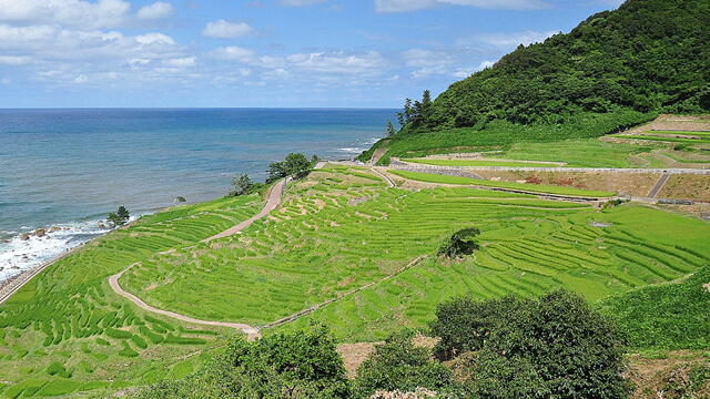 白米千枚田