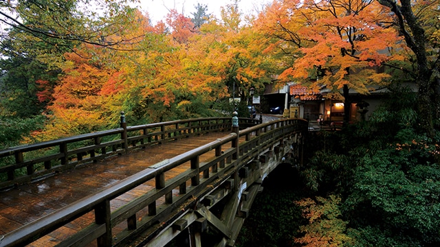 山中温泉鶴仙渓こおろぎ橋